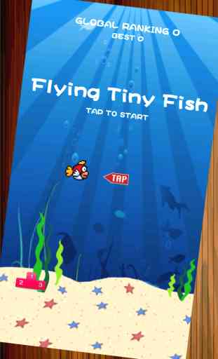 Flying Tiny Fish - The Adventure Of A Tiny Bird Fish 3