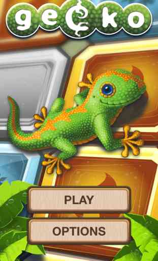 Gecko the Game 2