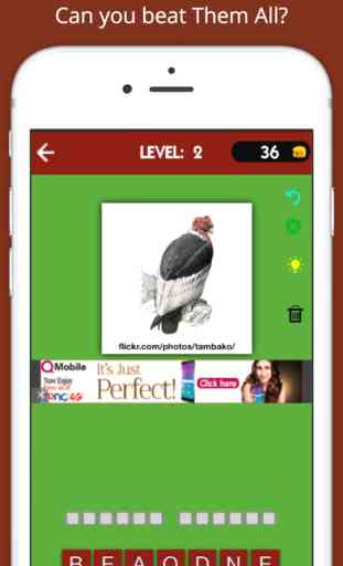 Guess Animal Kingdom Quiz(WordBrain Trivia Game for Guessing Lovers) 3