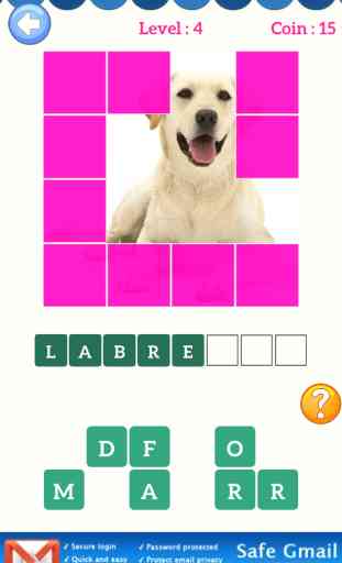 Guess Puppy Breed: Reveal Wolf Dog Breed Like Poodle & Labrador 1