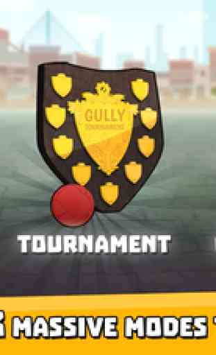 Gully Cricket 2017 1