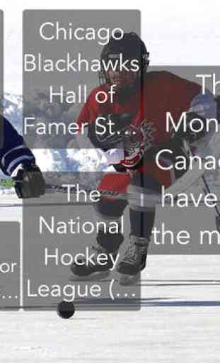 Hockey Trivia App 3