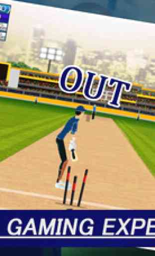 IPL Cricket Craze 3D 1