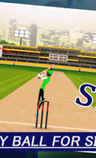 IPL Cricket Craze 3D 3