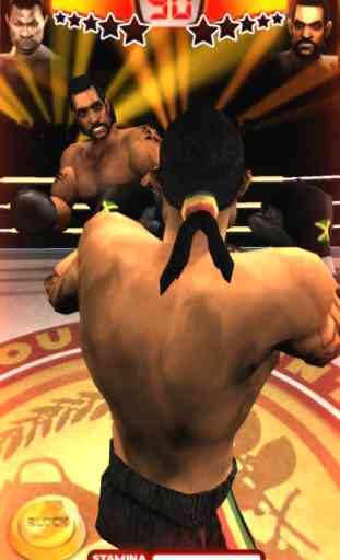 Iron Fist Boxing HD Edition 3