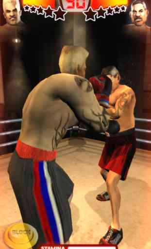 Iron Fist Boxing Lite 4