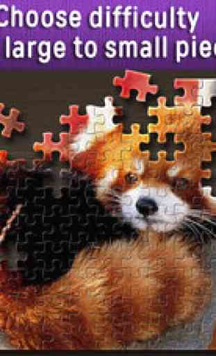 Jigsaw Puzzles World 1