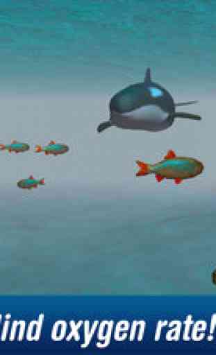 Killer Whale: Orca Simulator 3D Free 4