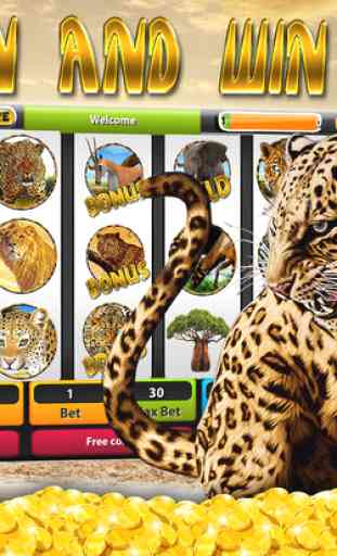 Leopard Slot Machines – Big Win Casino 3