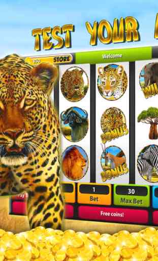 Leopard Slot Machines – Big Win Casino 4