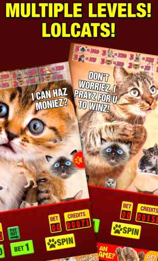 Lucky Cat Slots: Top Slot Machine Game with Real Kitty Cats' Sounds—FREE 1