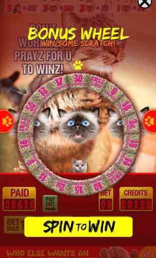 Lucky Cat Slots: Top Slot Machine Game with Real Kitty Cats' Sounds—FREE 2