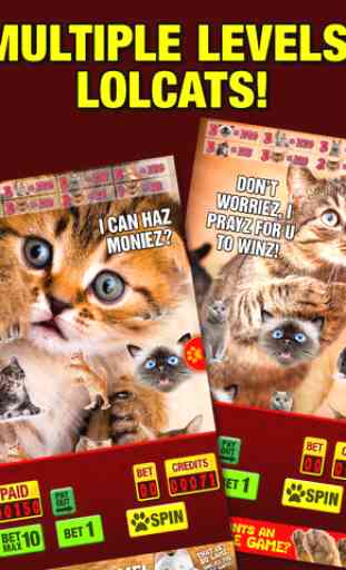 Lucky Cat Slots: Top Slot Machine Game with Real Kitty Cats' Sounds—FREE 4