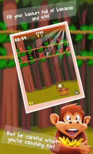Monkey Quest Rush: Banana Drop Madness 3