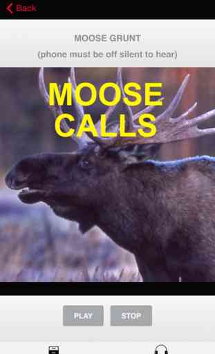 Moose Calls 2