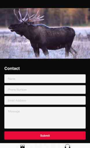 Moose Calls 4