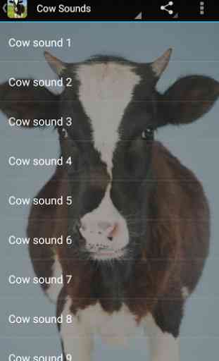 Cow Sounds 1