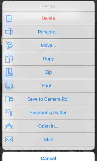 FileViewer USB for iPhone 2