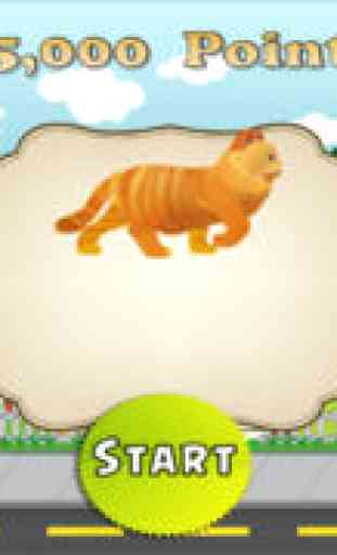 Pet Cat Rescue - Free Run & Escape Game Saga 2