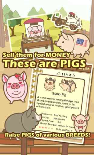 Pig Farm 3