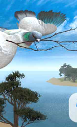 Pigeon Bird Survival Simulator 3D 1