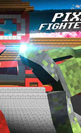 Pixel Fighter 3D 4