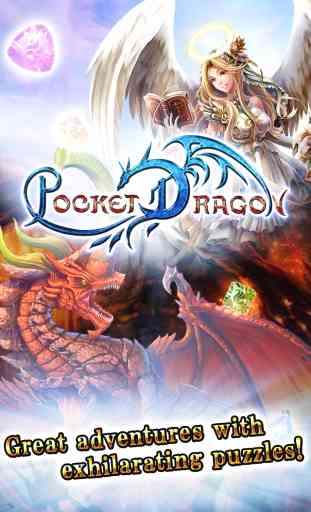 Pocket Dragon 1
