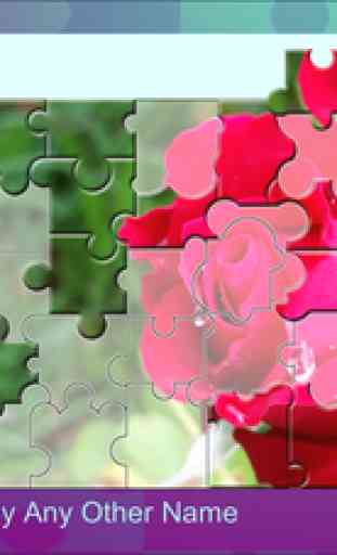 Puzzle Drop - Flower Set 3