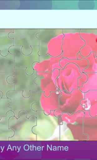 Puzzle Drop - Flower Set 4