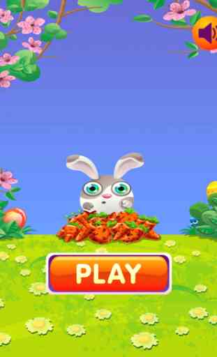 Rabbit Tap Hop 4