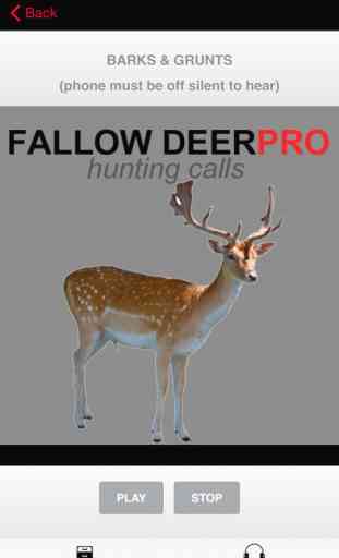 REAL Fallow Deer Calls - Deer Grunt & Deer Bark - BLUETOOTH COMPATIBLE 3
