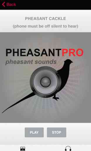REAL Pheasant Calls & Pheasant Sounds for Pheasant Hunting 1