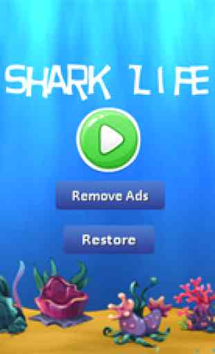 Shark Life - eat fish and avoid mace 1