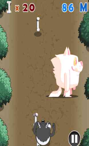 Speedy Husky: Dog Dash Story - Mega Rush Sprint Running Game (Best Free Kids Games) 4