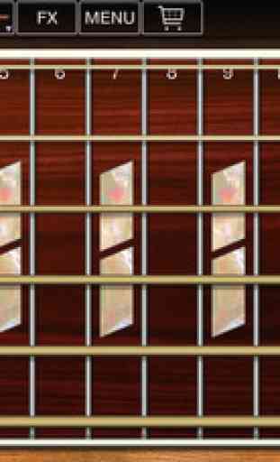 Steel Guitar 3