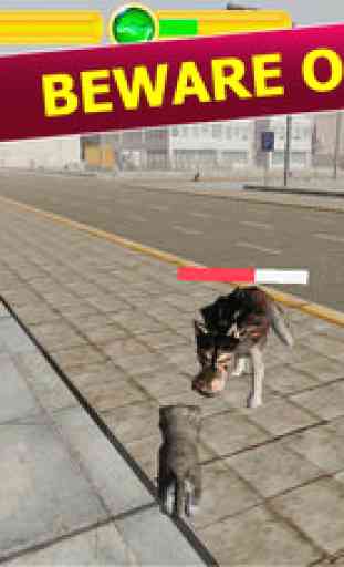 Street Cat Simulator 3D Free 3