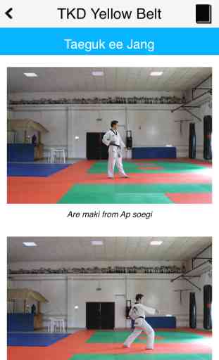 The Taekwondo Yellow Belt 3