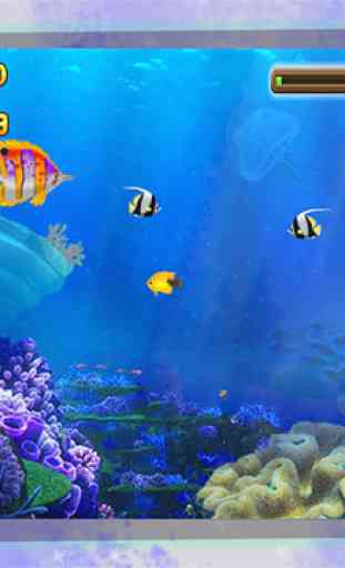 The Tlittle Fish Big Fish Eat Small Fish : Easy Fish Games For Kids 3