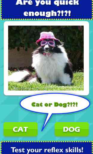 TicToc Pic: Cat or Dog Edition - Reaction Test Game 1