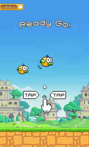 Two Pixel Birds Games-The Free Flappy Adventure ! 4