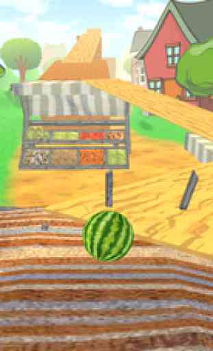 Watermelon Balance 3D Ball 1