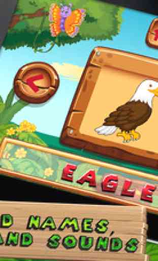 Which Bird - Kids e-Learning 1