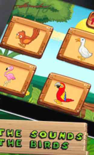Which Bird - Kids e-Learning 3