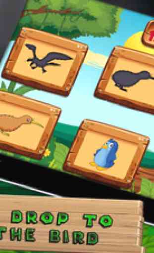 Which Bird - Kids e-Learning 4