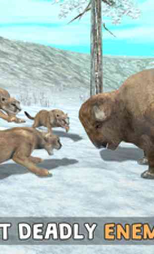 Wild Cougar Sim 3D - Real Wildlife Simulator 4