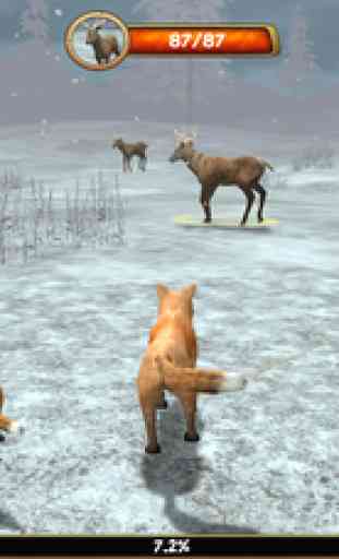 Wild Fox Sim 3D 2