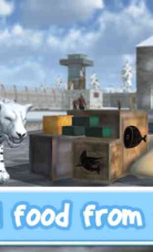 Wild Snow Leopard: Animal Simulator 4