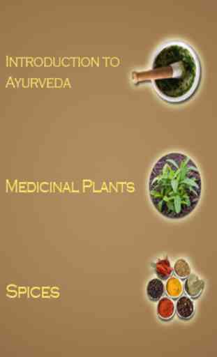 Ayurveda Tips & Wiki: Medicines Spices and much more 1