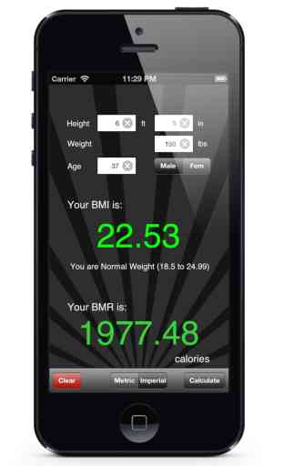 BMI & BMR Calculator Free 1