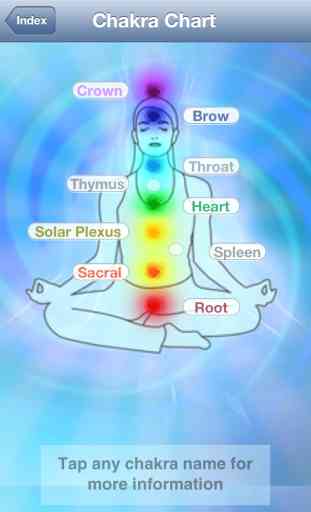 Chakra Balancing and Energy Healing 4